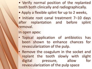 • Verify normal position of the replanted
tooth both clinically and radiographically.
• Apply a flexible splint for up to 2 weeks,
• Initiate root canal treatment 7–10 days
after replantation and before splint
removal.
In open apex:
• Topical application of antibiotics has
been shown to enhance chances for
revascularization of the pulp.
• Remove the coagulum in the socket and
replant the tooth slowly with slight
digital pressure, allow for
revascularization of the pulp space
 
