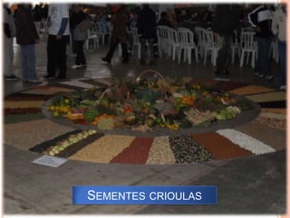 Sementes crioulas