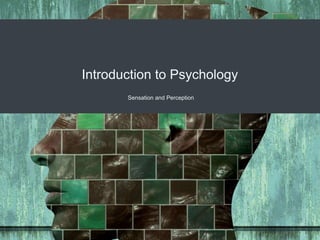Introduction to Psychology
Sensation and Perception
 