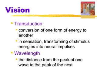 Vision
 Transduction
 conversion of one form of energy to
another
 in sensation, transforming of stimulus
energies into neural impulses
 Wavelength
 the distance from the peak of one
wave to the peak of the next
 