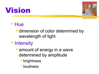 Vision
 Hue
 dimension of color determined by
wavelength of light
 Intensity
 amount of energy in a wave
determined by amplitude
 brightness
 loudness
 