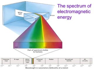 The spectrum of
electromagnetic
energy
 
