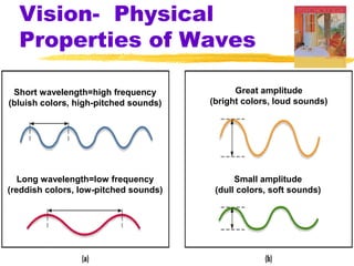 Vision- Physical
Properties of Waves
Short wavelength=high frequency
(bluish colors, high-pitched sounds)
Long wavelength=low frequency
(reddish colors, low-pitched sounds)
Great amplitude
(bright colors, loud sounds)
Small amplitude
(dull colors, soft sounds)
 