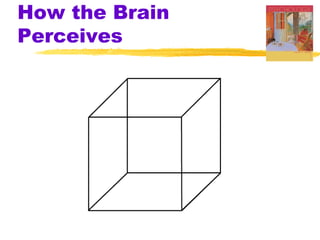 How the Brain
Perceives
 