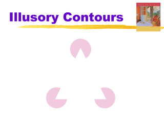 Illusory Contours
 