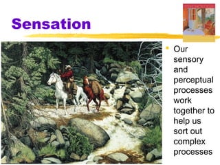 Sensation
 Our
sensory
and
perceptual
processes
work
together to
help us
sort out
complex
processes
 