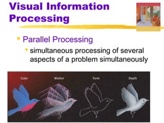 Visual Information
Processing
 Parallel Processing
 simultaneous processing of several
aspects of a problem simultaneously
 