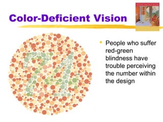 Color-Deficient Vision
 People who suffer
red-green
blindness have
trouble perceiving
the number within
the design
 