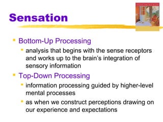 Sensation
 Bottom-Up Processing
 analysis that begins with the sense receptors
and works up to the brain’s integration of
sensory information
 Top-Down Processing
 information processing guided by higher-level
mental processes
 as when we construct perceptions drawing on
our experience and expectations
 
