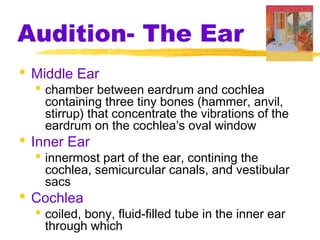 Audition- The Ear
 Middle Ear
 chamber between eardrum and cochlea
containing three tiny bones (hammer, anvil,
stirrup) that concentrate the vibrations of the
eardrum on the cochlea’s oval window
 Inner Ear
 innermost part of the ear, contining the
cochlea, semicurcular canals, and vestibular
sacs
 Cochlea
 coiled, bony, fluid-filled tube in the inner ear
through which
 