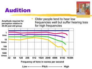 Audition
 Older people tend to hear low
frequencies well but suffer hearing loss
for high frequencies
1
time
10
times
100
times
1000
times
32 64 128 256 512 1024 2048 4096 8192 16384
Frequency of tone in waves per second
Low Pitch High
Amplitude required for
perception relative to
20-29 year-old group
 
