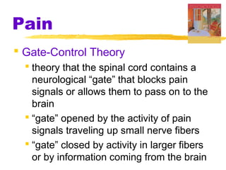 Pain
 Gate-Control Theory
 theory that the spinal cord contains a
neurological “gate” that blocks pain
signals or allows them to pass on to the
brain
 “gate” opened by the activity of pain
signals traveling up small nerve fibers
 “gate” closed by activity in larger fibers
or by information coming from the brain
 