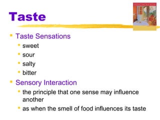Taste
 Taste Sensations
 sweet
 sour
 salty
 bitter
 Sensory Interaction
 the principle that one sense may influence
another
 as when the smell of food influences its taste
 