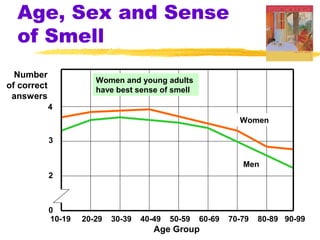Age, Sex and Sense
of Smell
Women
Men
10-19 20-29 30-39 40-49 50-59 60-69 70-79 80-89 90-99
Age Group
4
3
2
0
Number
of correct
answers
Women and young adults
have best sense of smell
 