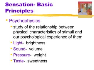Sensation- Basic
Principles
 Psychophysics
 study of the relationship between
physical characteristics of stimuli and
our psychological experience of them
 Light- brightness
 Sound- volume
 Pressure- weight
 Taste- sweetness
 