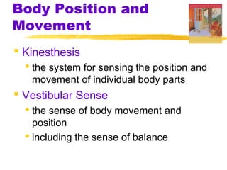 Body Position and
Movement
 Kinesthesis
 the system for sensing the position and
movement of individual body parts
 Vestibular Sense
 the sense of body movement and
position
 including the sense of balance
 