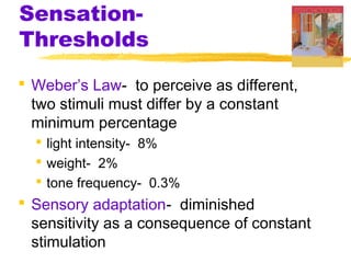 Sensation-
Thresholds
 Weber’s Law- to perceive as different,
two stimuli must differ by a constant
minimum percentage
 light intensity- 8%
 weight- 2%
 tone frequency- 0.3%
 Sensory adaptation- diminished
sensitivity as a consequence of constant
stimulation
 