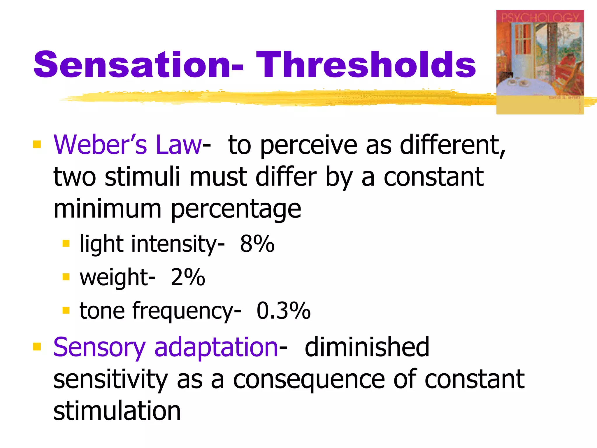 5 sensation pp | PDF