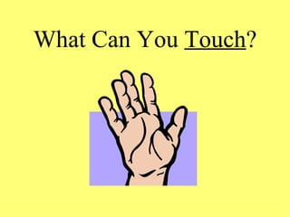 What Can You  Touch ? 