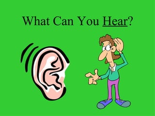 What Can You  Hear ? 