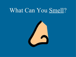 What Can You  Smell ? 