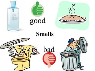Smells bad good 