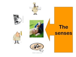 The
senses
 