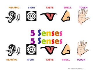 HEARING

SIGHT

TASTE

SMELL

TOUCH

5 Senses
5 Senses
HEARING

SIGHT

TASTE

SMELL

TOUCH

W.E. Cottle Computer Lab Activity – R. Martin

 