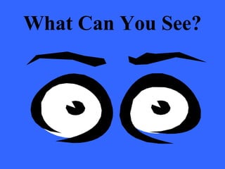 What Can You See?
