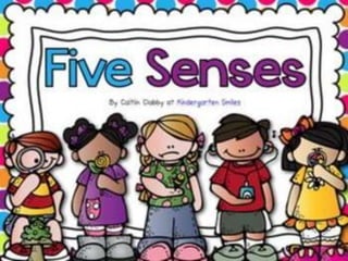 My 5 senses
 