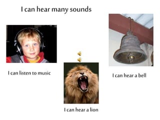 I canhearmanysounds
I can listen to music I can heara bell
I can hear a lion
 