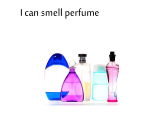 I can smell perfume
 