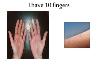 I have 10 fingers
 