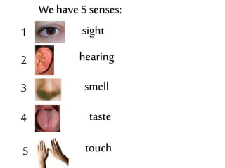 We have 5 senses:
sight1
2 hearing
3 smell
4 taste
5 touch
 