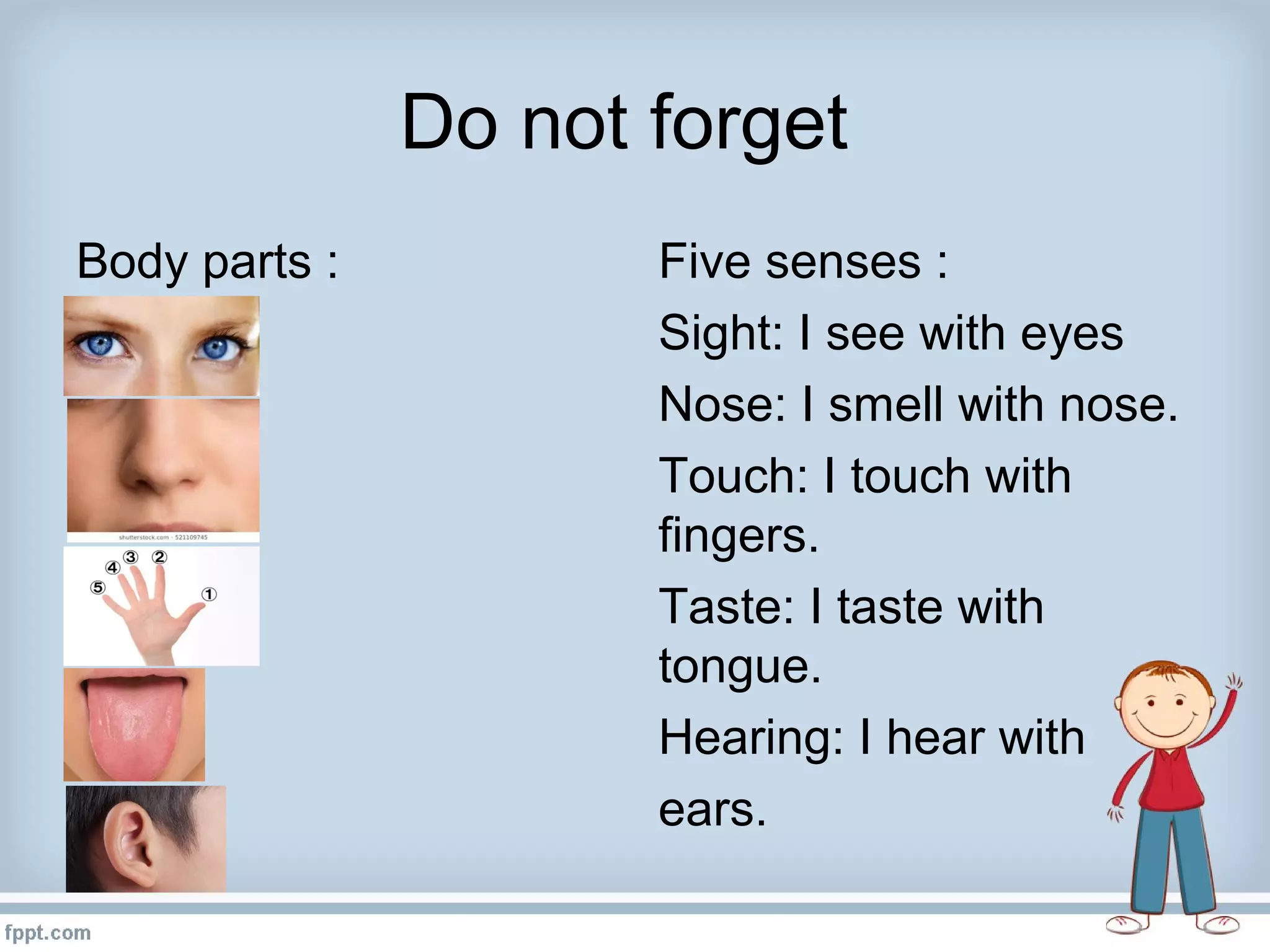 5 senses grade 1 | PPT