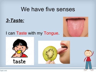 We have five senses
3-Taste:
I can Taste with my Tongue.
 