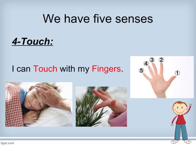 5 senses grade 1 | PPT