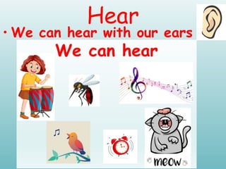 5 senses GRADE 1 global islamic school (1).ppt