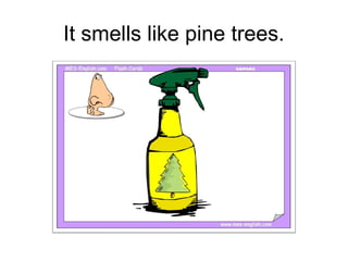 It smells like pine trees.
 