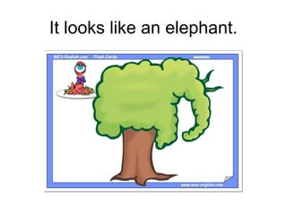 It looks like an elephant.
 