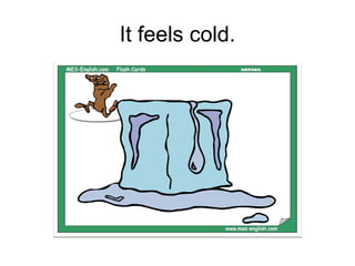 It feels cold.
 