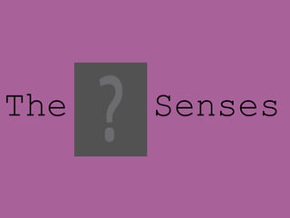 The  Senses 