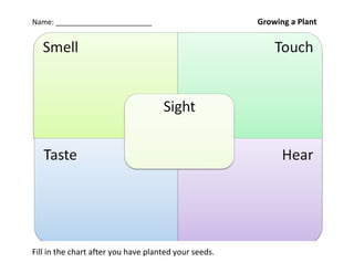 Name: ________________________                         Growing a Plant




Fill in the chart after you have planted your seeds.
 