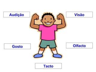 Audição           Visão




 Gosto            Olfacto




          Tacto
 