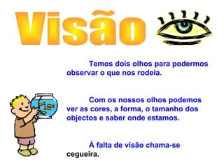 Temos dois olhos para podermos
observar o que nos rodeia.


      Com os nossos olhos podemos
ver as cores, a forma, o tamanho dos
objectos e saber onde estamos.


     À falta de visão chama-se
cegueira.
 