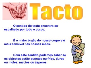 O sentido do tacto encontra-se
espalhado por todo o corpo.


      É o maior órgão do nosso corpo e é
mais sensível nas nossas mãos.


      Com este sentido podemos saber se
os objectos estão quentes ou frios, duros
ou moles, macios ou ásperos.
 
