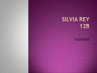 SILVIA REY12B 5 SENTIDOS 