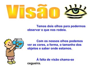 Temos dois olhos para podermos
observar o que nos rodeia.
Com os nossos olhos podemos
ver as cores, a forma, o tamanho dos
objetos e saber onde estamos.
À falta de visão chama-se
cegueira.