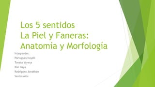 Los 5 sentidos
La Piel y Faneras:
Anatomía y Morfología
Integrantes:
Portugués Nayeli
Tonato Vanesa
Ron Naya
Rodríguez Jonathan
Santos Alex
 