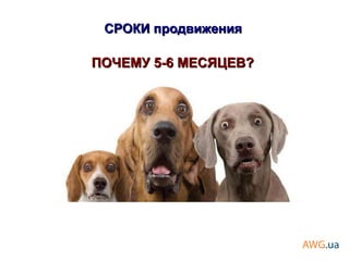 ПОЧЕМУ 5-6 МЕСЯЦЕВ?ПОЧЕМУ 5-6 МЕСЯЦЕВ?
СРОКИ продвиженияСРОКИ продвижения
 